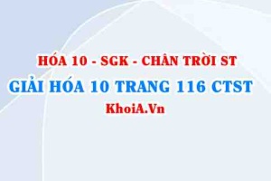 Giải Hóa 10 Chân trời Sáng tạo trang 116